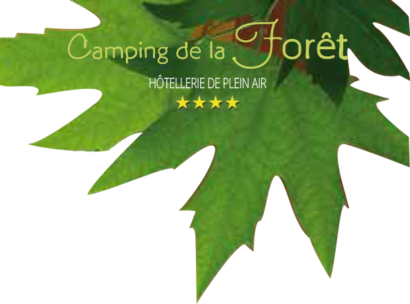 Campsite with covered and heated swimming pool near Rouen