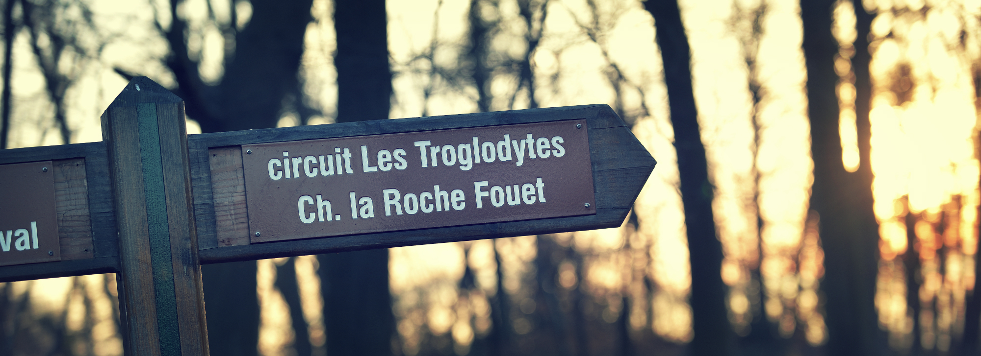 Camping de la Forêt - Jumièges