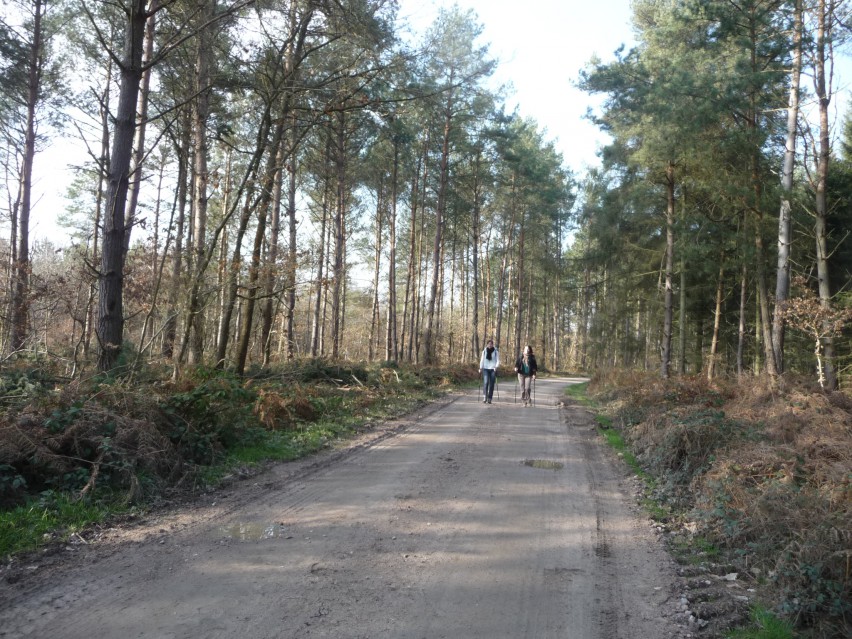 Camping de la Forêt - Jumièges