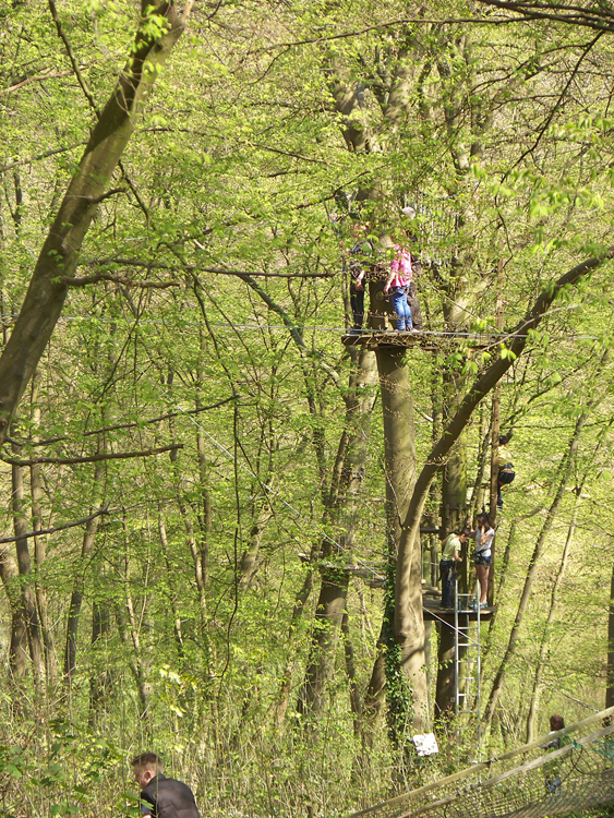 Camping de la Forêt - Jumièges
