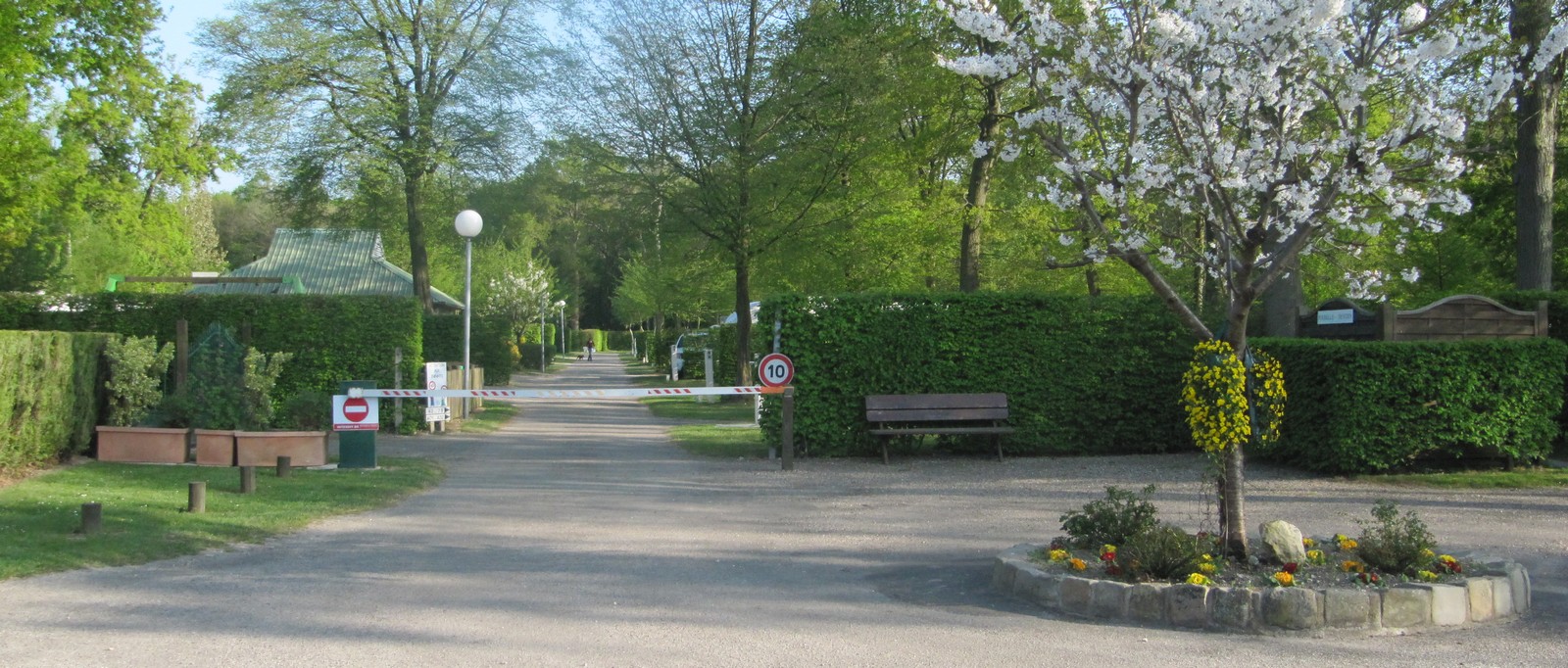 Camping de la Forêt 4 stars, rent cottages and chalets
